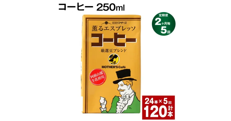 【ふるさと納税】【定期便】【2ヶ月毎5回】コーヒー 250ml 24本 計120本（24本×5回） コーヒー牛乳 カフェオレ 珈琲 らくのうマザーズ 薫るエスプレッソ ドリンク 紙パック 熊本県産 国産 九州 熊本県 菊池市 送料無料