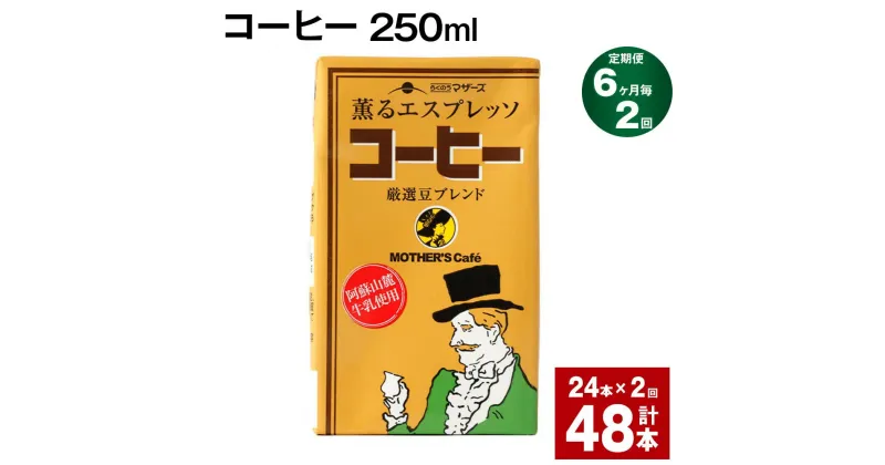 【ふるさと納税】【定期便】【6ヶ月毎2回】コーヒー 250ml 24本 計48本（24本×2回） コーヒー牛乳 カフェオレ 珈琲 らくのうマザーズ 薫るエスプレッソ ドリンク 紙パック 熊本県産 国産 九州 熊本県 菊池市 送料無料