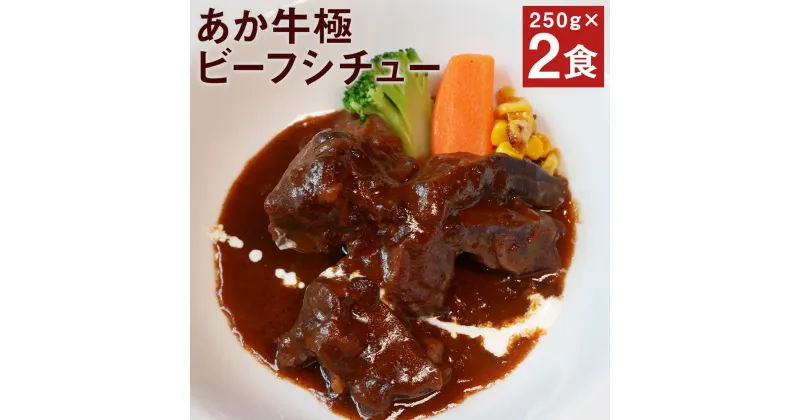 【ふるさと納税】あか牛 極ビーフシチュー 250g×2個 ビーフシチュー レトルト あか牛 牛肉 熊本県 送料無料