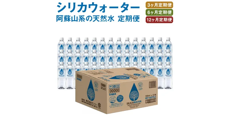 【ふるさと納税】【選べる定期便】シリカウォーター 阿蘇山系の天然水 500ml×42本 3ヶ月/6ヶ月/12ヶ月 定期便 シリカ水 飲料水 ドリンク 飲料 ペットボトル 天然水 軟水 鉱水 熊本県 送料無料