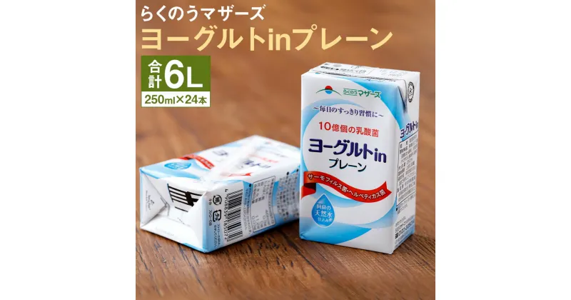 【ふるさと納税】ヨーグルトinプレーン 24本 250ml×24本 1ケース 乳酸菌 ヨーグルト プレーン 乳酸菌飲料 乳飲料 乳性飲料 らくのうマザーズ ドリンク 飲み物 飲料 セット 紙パック 常温保存可能 ロングライフ 熊本県産 送料無料