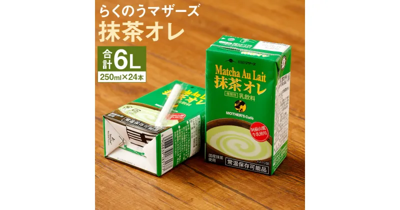 【ふるさと納税】抹茶オレ 抹茶ミルク 24本 250ml×24本 1ケース 抹茶・オ・レ 乳飲料 乳性飲料 クロレラ・緑茶ポリフェノール入り らくのうマザーズ ドリンク 飲み物 飲料 セット 紙パック 常温保存可能 ロングライフ 熊本県産 送料無料