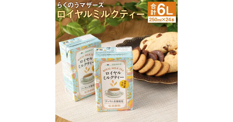 【ふるさと納税】ロイヤルミルクティー 250ml×24本 1ケース 紅茶 ミルクティー らくのうマザーズ ドリンク 飲み物 飲料 セット 紙パック 常温保存可能 ロングライフ 熊本県産 送料無料