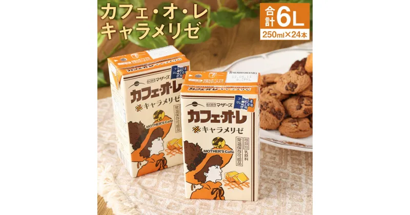 【ふるさと納税】カフェオレ キャラメリゼ 250ml×24本 1ケース コーヒー牛乳 カフェ・オ・レ キャラメル 乳飲料 乳性飲料 コーヒー入り清涼飲料水 らくのうマザーズ ドリンク 飲み物 飲料 セット 紙パック 常温保存可能 ロングライフ 熊本県産 送料無料