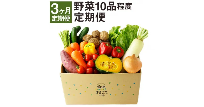 【ふるさと納税】【定期便 計3回】 野菜 10品程度 【メロンドーム】 定期便 3ヶ月お届け 詰め合わせ セット 国産 九州産 熊本県 菊池市 道の駅 送料無料