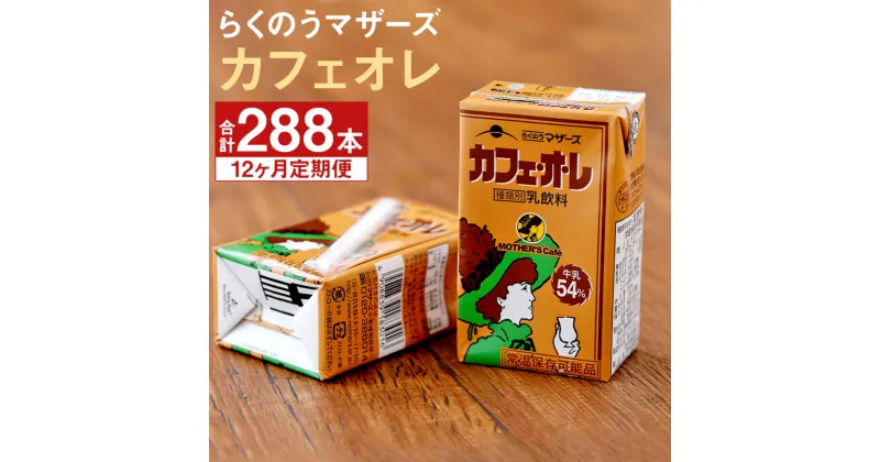 【ふるさと納税】【定期便計12回】カフェオレ 250ml×24本×12回 合計288本 コーヒー牛乳 カフェ・オ・レ 乳飲料 乳性飲料 コーヒー入り清涼飲料水 らくのうマザーズ ドリンク 飲み物 飲料 セット 紙パック 常温保存可能 ロングライフ 熊本県産 送料無料