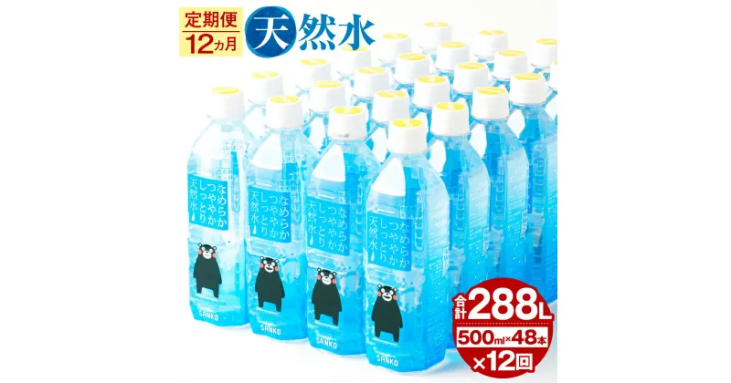 【ふるさと納税】【12ヶ月定期便】なめらかつややかしっとり天然水 500ml 合計576本 24本×2ケース×12ヶ月 天然水 軟水 鉱水 シリカ水 飲料水 ミネラルウォーター ドリンク ペットボトル 熊本県 菊池市 定期便 12ヶ月お届け 12回お届け 送料無料