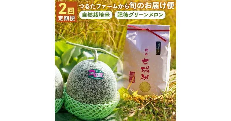 【ふるさと納税】【2回定期便】つるたファームから旬のお届け便 Green 自然栽培米5kg 肥後グリーンメロン2玉 2回お届け 定期便 フルーツ 果物 メロン お米 精米 白米 菊池市 熊本県産 九州産 送料無料