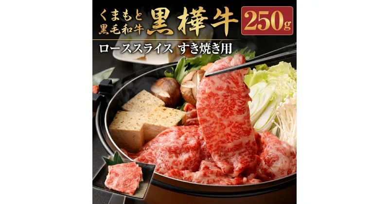 【ふるさと納税】くまもと黒毛和牛 黒樺牛 A4～A5等級 ローススライス すき焼き用 250g 牛肉 牛 お肉 鍋 すきやき しゃぶしゃぶ 薄切り スライス 黒毛和牛 国産 九州産 熊本県産 冷凍 送料無料