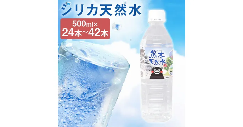 【ふるさと納税】シリカ天然水 500ml 24本/42本 選べる本数 シリカ水 飲料水 ミネラルウォーター 水 軟水 鉱水 ペットボトル 熊本県 送料無料