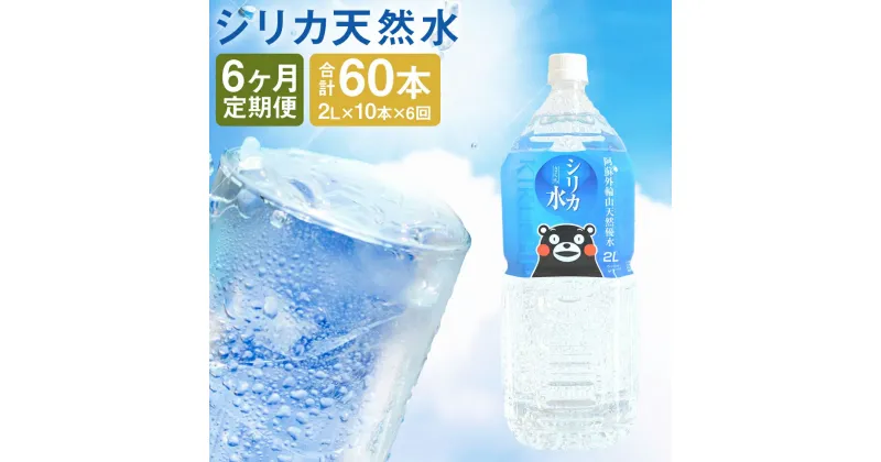 【ふるさと納税】【6ヶ月定期便】シリカ天然水 2L×10本×6回お届け 合計60本 120L シリカ水 飲料水 ミネラルウォーター 水 軟水 鉱水 ペットボトル 熊本県 送料無料