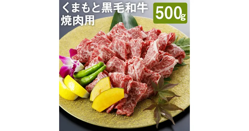 【ふるさと納税】くまもと黒毛和牛 焼肉用 500g 焼き肉 カット済み 和牛 牛肉 お肉 熊本県産 九州産 国産 冷凍 送料無料