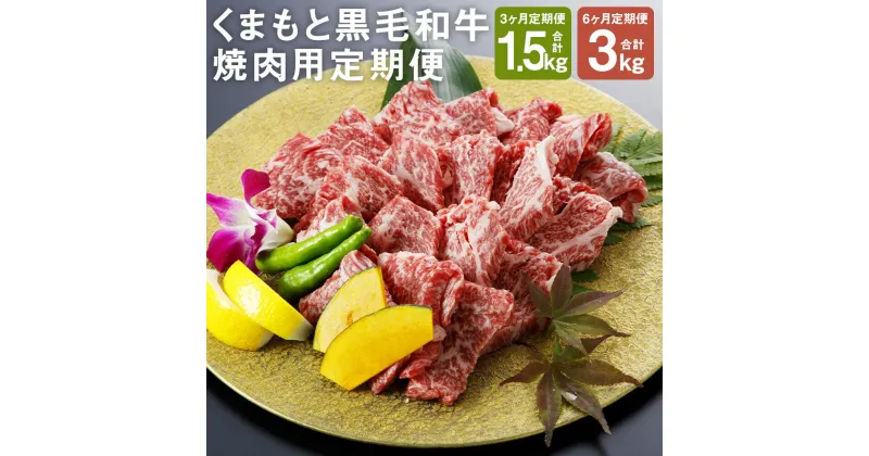 【ふるさと納税】【選べる定期便】くまもと黒毛和牛 焼肉用 3ヶ月定期便/6ヶ月定期便 1回のお届けにつき500g 定期便 焼き肉 カット済み 和牛 牛肉 お肉 熊本県産 九州産 国産 冷凍 送料無料