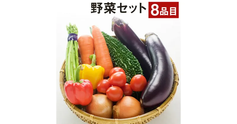 【ふるさと納税】野菜セット 8品【養生市場】 詰め合わせ セット 品種おまかせ ランダム 野菜 旬の野菜 九州産 熊本県産 送料無料