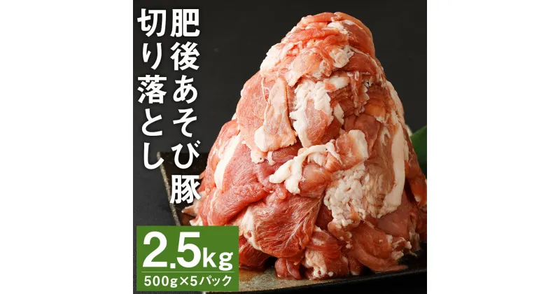 【ふるさと納税】肥後あそび豚切落し 500g×5パック 合計2.5kg ぶた ブタ 豚肉 肉 ブランド豚 切り落とし 国産 九州産 熊本県産 菊池市産 冷凍 送料無料