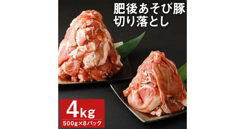 【ふるさと納税】肥後あそび豚 切落し 500g×8パック 合計4kg ぶた ブタ 豚肉 肉 ブランド豚 切り落とし 国産 九州産 熊本県産 菊池市産 冷凍 送料無料