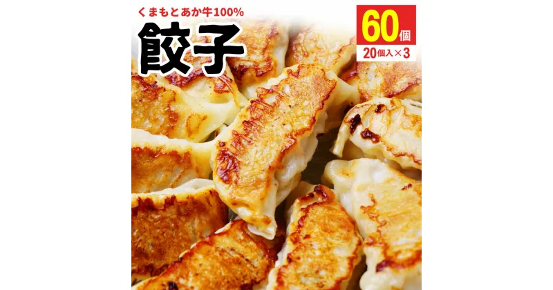 【ふるさと納税】くまもとあか牛100％ 餃子 合計60個 20個入り×3パック ぎょうざ ギョウザ 牛肉 あか牛 赤牛 惣菜 冷凍 国産 九州産 熊本県産 送料無料