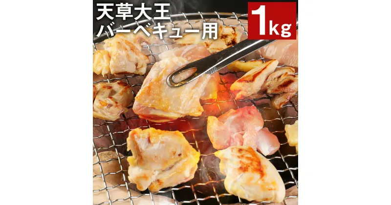 【ふるさと納税】天草大王 バーベキュー用 カット肉 1kg 5～6人用 鶏肉 カット済み 精肉 お肉 もも肉 むね肉 熊本県産 九州産 国産 冷凍 送料無料