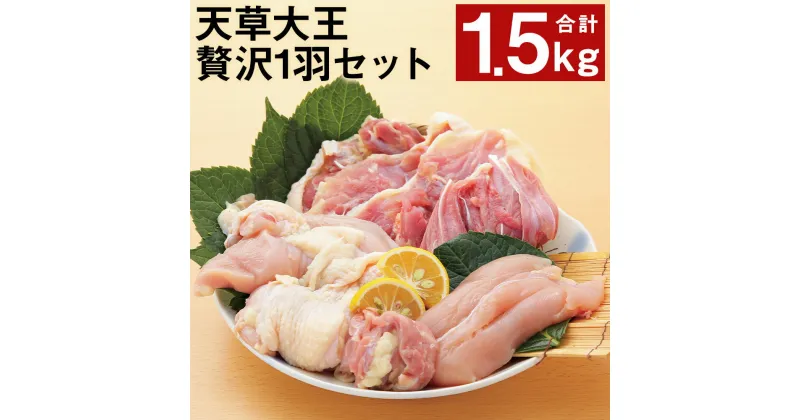 【ふるさと納税】天草大王 贅沢1羽セット 計1.5kg 3種類 鶏肉 精肉 お肉 もも肉 むね肉 ささみ 熊本県産 九州産 国産 冷凍 送料無料