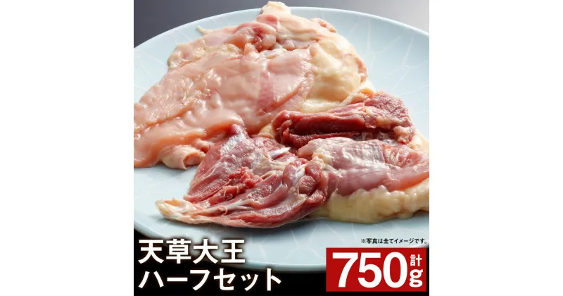 【ふるさと納税】天草大王 ハーフセット 計750g 3種類 鶏肉 精肉 お肉 もも肉 むね肉 ささみ 熊本県産 九州産 国産 冷凍 送料無料