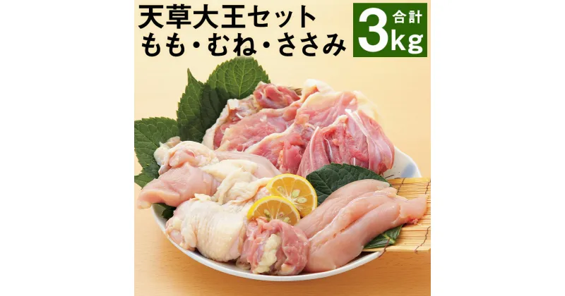 【ふるさと納税】天草大王 もも・むね・ささみセット 計3kg 3種類×各1kg 鶏肉 精肉 お肉 もも肉 むね肉 ささみ 熊本県産 九州産 国産 冷凍 送料無料