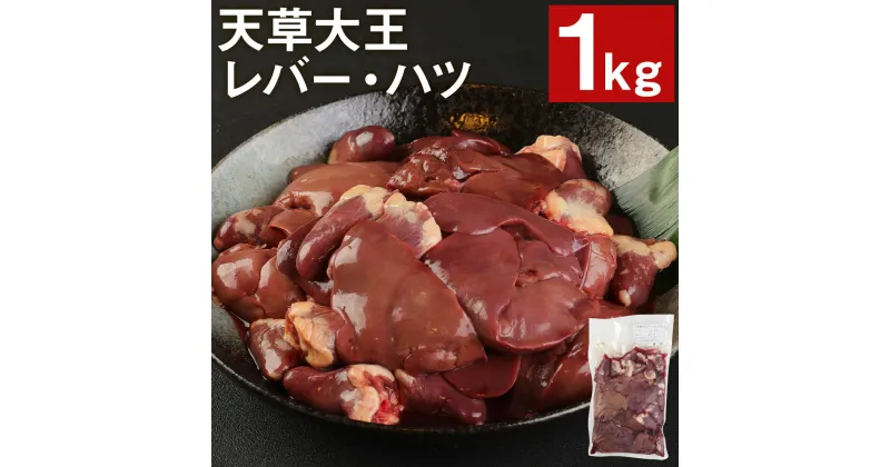 【ふるさと納税】天草大王 レバー・ハツ 1kg 鶏肉 セット おつまみ 焼き鳥 炒めもの 熊本県産 九州産 国産 冷凍 送料無料