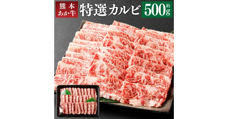 【ふるさと納税】熊本あか牛 特選カルビ 500g 焼き肉 焼肉 やきにく BBQ バーベキュー カルビ あか牛 和牛 牛肉 お肉 精肉 くまもとあか牛 冷凍 熊本県産 熊本県 菊池市 送料無料