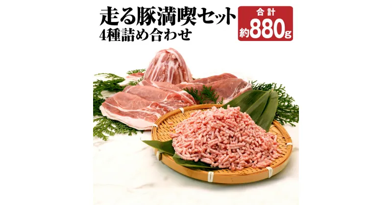 【ふるさと納税】走る豚 満喫セット 4種詰め合わせ 合計約880g 4種類 食べ比べ 豚肉 肉 お肉 ロース もも バラ ミンチ 薄切り スライス 熊本県産 九州産 国産 冷凍 送料無料