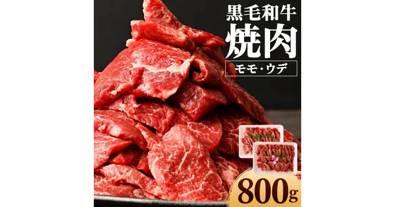 【ふるさと納税】焼肉用 モモ・ウデ 合計800g 黒毛和牛 カット済み お肉 和牛 焼き肉 キャンプ バーベキュー 熊本県産 九州産 国産 冷凍 送料無料