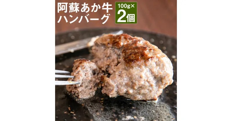 【ふるさと納税】阿蘇あか牛ハンバーグ 100g×2個 合計200g ハンバーグ あか牛 牛肉 熊本県 冷凍 送料無料