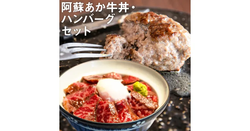 【ふるさと納税】阿蘇あか牛丼と阿蘇あか牛ハンバーグセット ローストビーフ ハンバーグ 2種類 セット あか牛 牛肉 熊本県 冷凍 送料無料