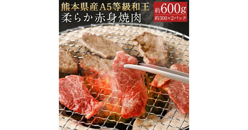 【ふるさと納税】熊本県産A5等級和王 柔らか赤身焼肉 合計約600g 約300×2パック 和牛 赤身 焼き肉 お肉 精肉 九州産 国産 冷凍 送料無料