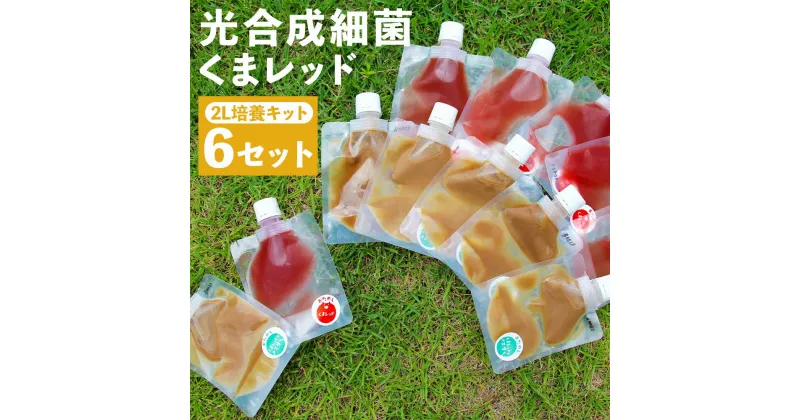 【ふるさと納税】光合成細菌 2L培養キット×6セット 光合成細菌100cc 焼酎粕培地20cc ガーデニング 農業用 観葉植物 家庭菜園 送料無料