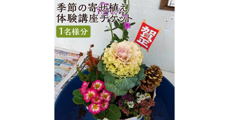 【ふるさと納税】季節の寄せ植え体験講座チケット 1名様分 体験 チケット 寄せ植え 植物 菊池市 熊本県 送料無料