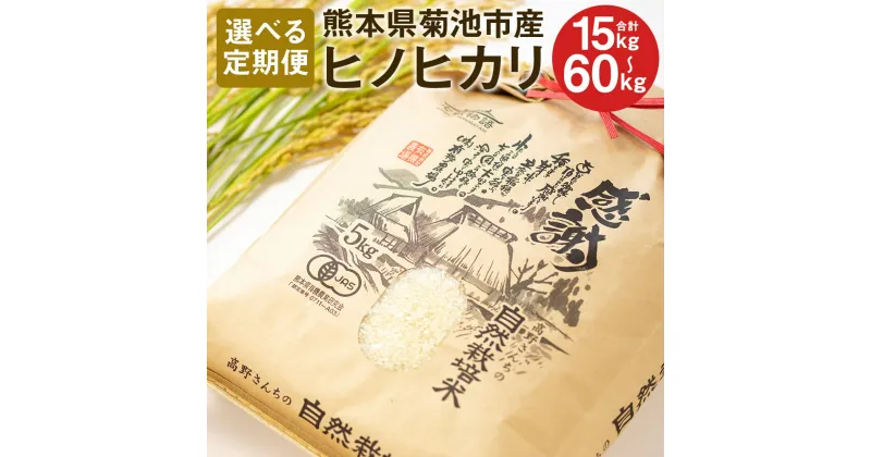 【ふるさと納税】【選べる定期便】熊本県菊池産 ヒノヒカリ 白米 5kg 3ヶ月/6ヶ月/12ヶ月 定期便 七城物語 高野さんちの自然栽培米 精米 米 お米 自然栽培米 特A 国産 九州産 熊本県産 送料無料