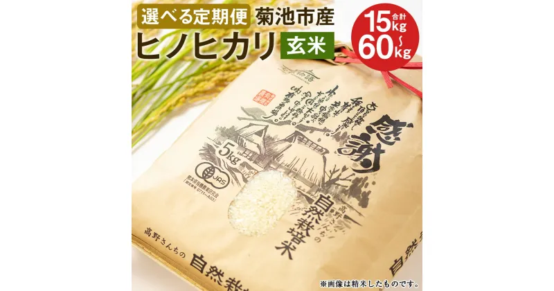 【ふるさと納税】【選べる定期便】熊本県菊池産 ヒノヒカリ 玄米 5kg 3ヶ月/6ヶ月/12ヶ月 定期便 七城物語 高野さんちの自然栽培米 米 お米 自然栽培米 特A 国産 九州産 熊本県産 送料無料