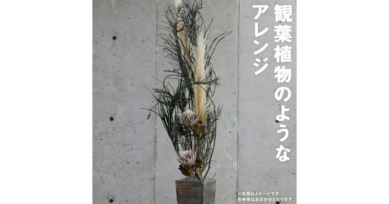 【ふるさと納税】観葉植物のようなアレンジ 縦約160cm×横約70cm×幅約70cmドライフラワー デザインおまかせ フラワーアレンジ インテリア 花 送料無料