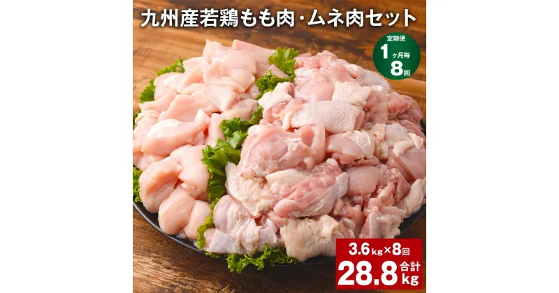 【ふるさと納税】【定期便】【1ヶ月毎8回】九州産若鶏もも肉（310g×6袋）・ムネ肉（600g×3袋）セット 計28.8kg（3.6kg×8回） 鶏肉 お肉 モモ肉 もも肉 ムネ肉 むね肉 2種類 小分け 冷凍 九州産 国産 熊本県 菊池市 送料無料