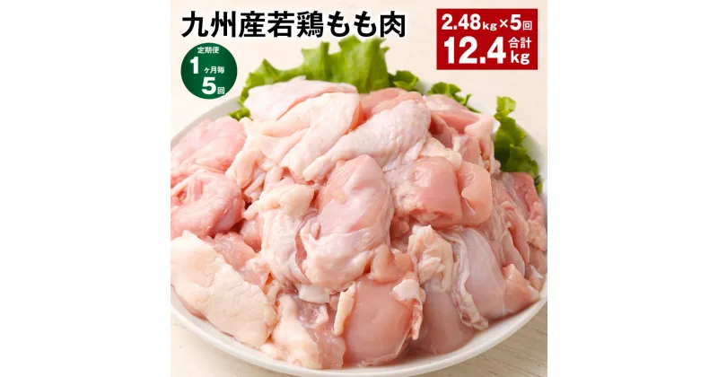 【ふるさと納税】【定期便】【1ヶ月毎5回】九州産若鶏もも肉 計約12.4kg(2.48kg×5回) 肉 お肉 鶏肉 若鶏 もも肉 唐揚げ てりやき チキンカレー 棒々鶏 煮物 国産 九州 熊本県 菊池市 送料無料