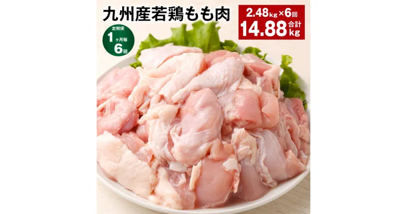 【ふるさと納税】【定期便】【1ヶ月毎6回】九州産若鶏もも肉 計約14.88kg(約2.48kg×6回)肉 お肉 鶏肉 若鶏 もも肉 唐揚げ てりやき チキンカレー 棒々鶏 煮物 国産 九州 熊本県 菊池市 送料無料