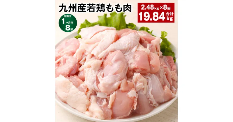 【ふるさと納税】【定期便】【1ヶ月毎8回】九州産若鶏もも肉 計約19.84kg(約2.48kg×8回) 肉 お肉 鶏肉 若鶏 もも肉 唐揚げ てりやき チキンカレー 棒々鶏 煮物 国産 九州 熊本県 菊池市 送料無料