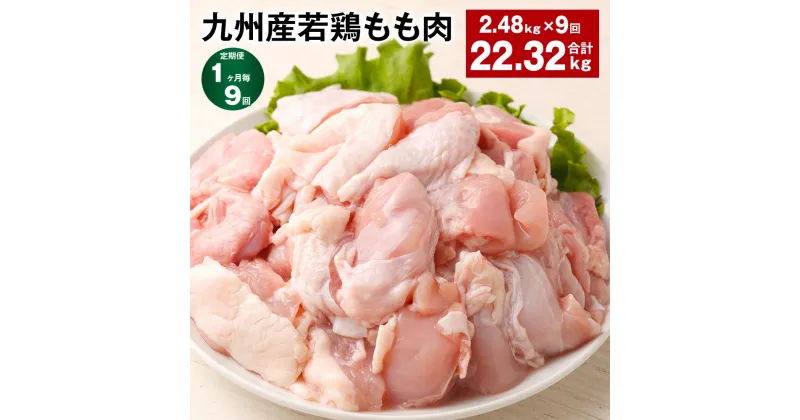 【ふるさと納税】【定期便】【1ヶ月毎9回】九州産若鶏もも肉 計約22.32kg(約2.48kg×9回) 肉 お肉 鶏肉 若鶏 もも肉 唐揚げ てりやき チキンカレー 棒々鶏 煮物 国産 九州 熊本県 菊池市 送料無料