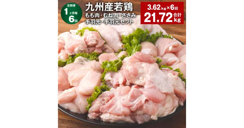 【ふるさと納税】【定期便】【1ヶ月毎6回】九州産若鶏もも肉・むね肉・ささみ・手羽先・手羽元セット 計21.72kg（3.62kg×6回） 鶏肉 お肉 モモ肉 ムネ肉 5種類 詰め合わせ 小分け 冷凍 九州産 国産 熊本県 菊池市 送料無料