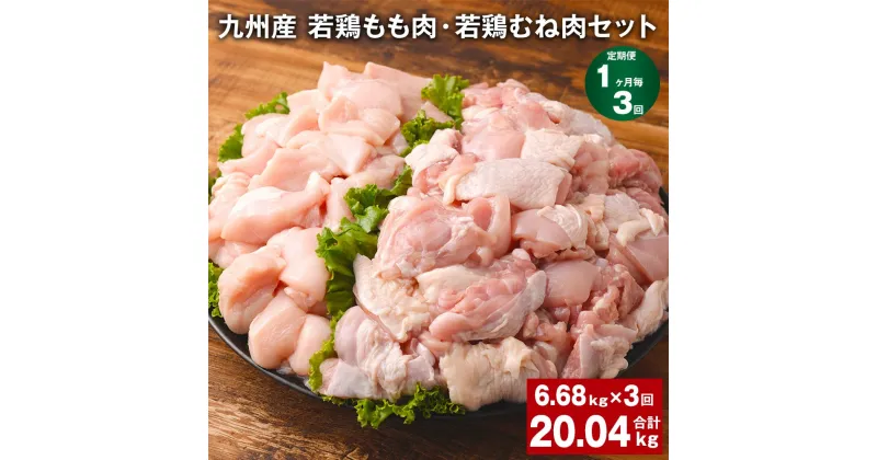 【ふるさと納税】【定期便】【1ヶ月毎3回】九州産 若鶏もも肉（310g×8袋）・若鶏むね肉（600g×7袋）セット 計20.04kg（6.68kg×3回） 鶏肉 お肉 モモ肉 ムネ肉 2種類 小分け 冷凍 九州産 国産 熊本県 菊池市 送料無料