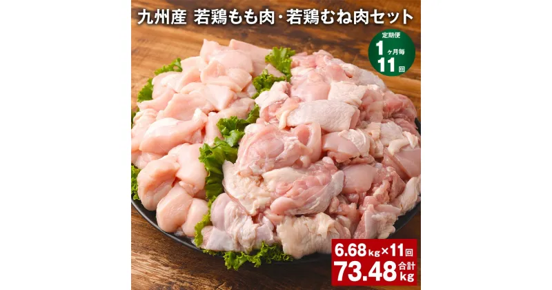 【ふるさと納税】【定期便】【1ヶ月毎11回】九州産 若鶏もも肉（310g×8袋）・若鶏むね肉（600g×7袋）セット 計73.48kg（6.68kg×11回） 鶏肉 お肉 モモ肉 ムネ肉 2種類 小分け 冷凍 九州産 国産 熊本県 菊池市 送料無料