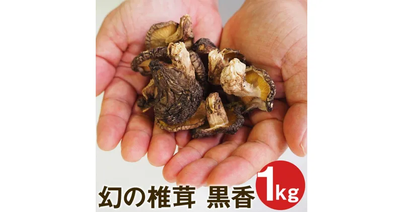 【ふるさと納税】幻の椎茸 黒香 1kg 希少品種の乾燥椎茸 小粒 ジャミ バレ しいたけ きのこ ご家庭用 規格外品 訳あり 熊本県産 菊池市産 九州産 送料無料