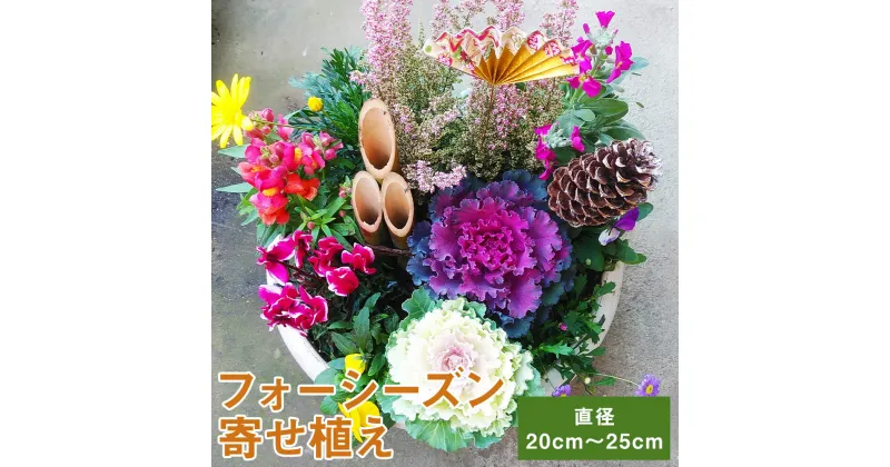 【ふるさと納税】フォーシーズン お花の寄せ植え 花 鉢花 鉢植え 観葉植物 植物 インテリア ガーデン 雑貨 送料無料