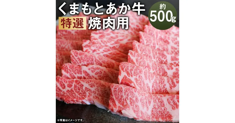 【ふるさと納税】厳選されたGI認証 くまもとあか牛 特選 焼肉用 約500g GI認証取得牛 牛肉 肉 和牛 あか牛 赤牛 熊本 焼き肉 焼肉 やきにく お肉 カット済み バーベキュー 冷凍 国産 九州産 熊本県産 送料無料