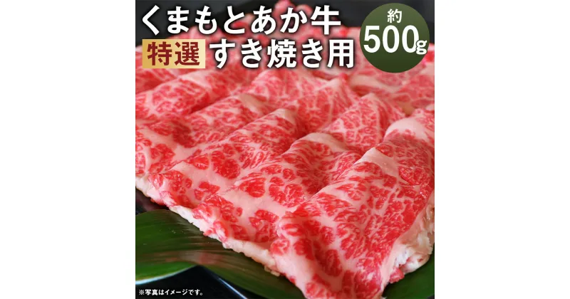 【ふるさと納税】厳選されたGI認証 くまもとあか牛 特選 すき焼き用 約500g GI認証取得牛 牛肉 肉 和牛 あか牛 赤牛 熊本 すき焼き すきやき 薄切り お肉 スライス済み 冷凍 国産 九州産 熊本県産 送料無料