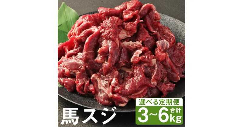 【ふるさと納税】【選べる定期便】馬スジ 1回につき1kg 3ヶ月定期便/6ヶ月定期便 500g×2パック 小分け すじ 馬すじ 馬肉 冷凍 送料無料